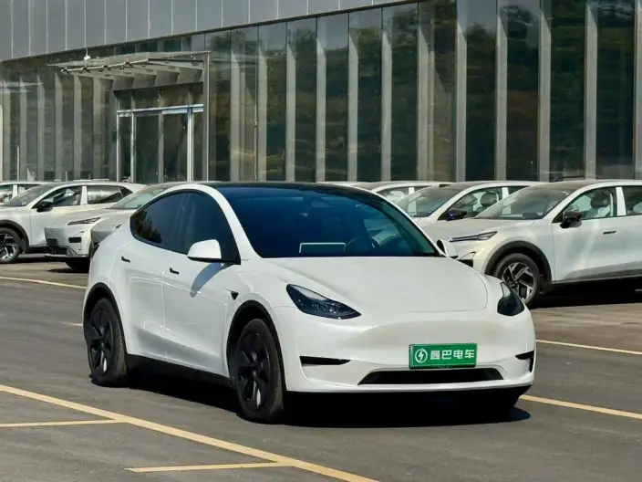 Model Y 2024 Model Rear-wheel drive version – фото 3