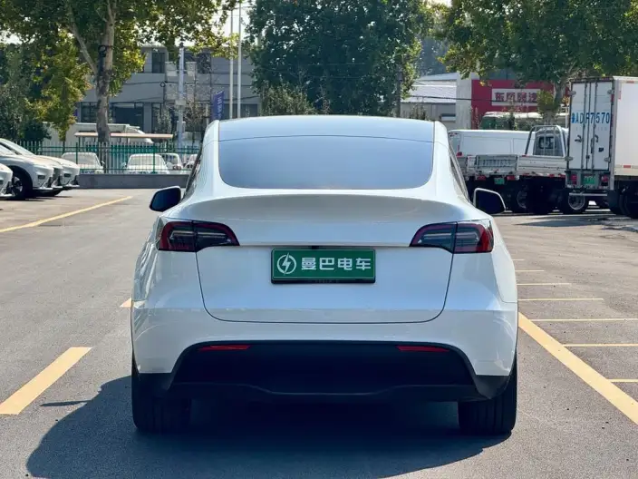 Model Y 2024 Model Rear-wheel drive version – фото 5