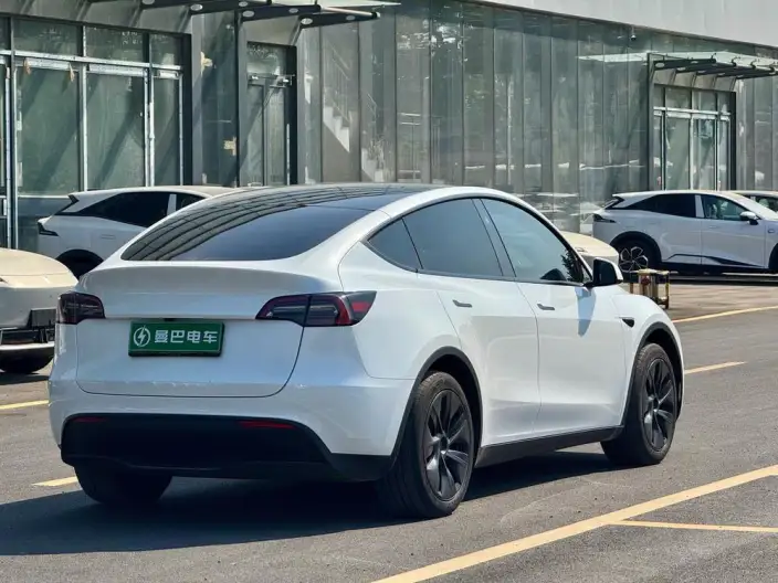 Model Y 2024 Model Rear-wheel drive version – фото 6