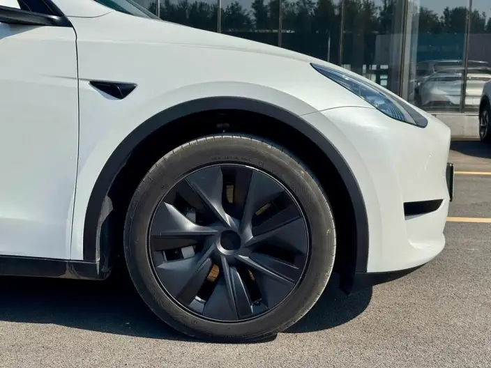 Model Y 2024 Model Rear-wheel drive version – фото 8
