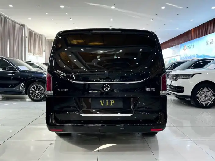 Mercedes-Benz V-Class 2024 Model V 300 Pilot Edition – фото 3