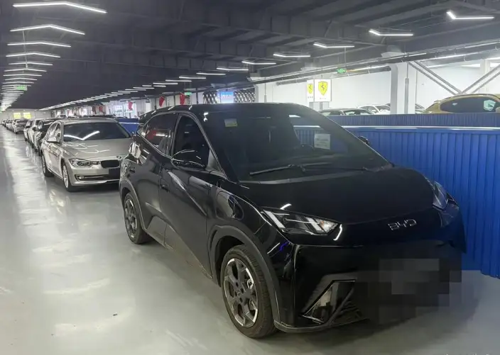BYD Seagull 2024 Model Honor Edition 305KM Vitality Edition – фото 1