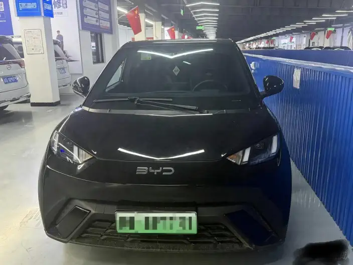 BYD Seagull 2024 Model Honor Edition 305KM Vitality Edition – фото 2