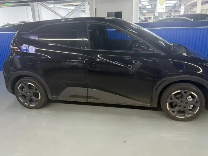 BYD Seagull 2024 Model Honor Edition 305KM Vitality Edition – фото 3