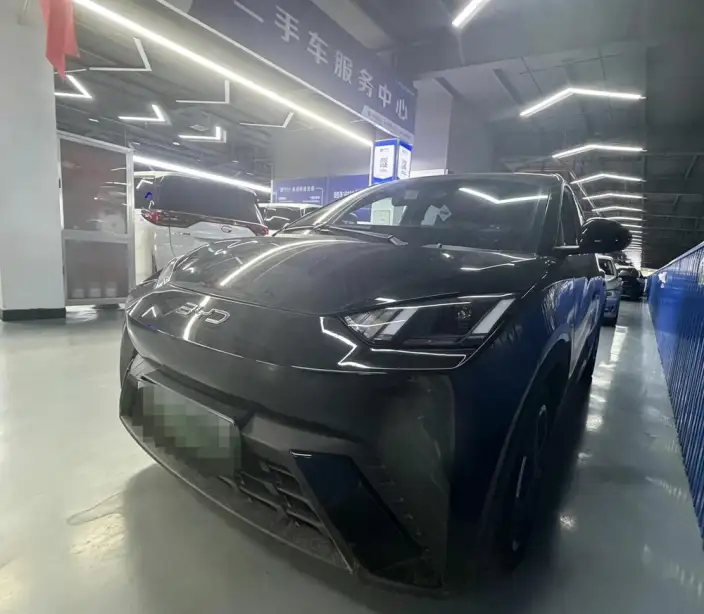 BYD Seagull 2024 Model Honor Edition 305KM Vitality Edition – фото 6