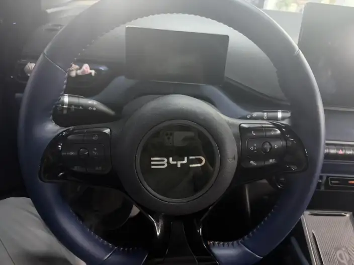 BYD Seagull 2024 Model Honor Edition 305KM Vitality Edition – фото 8