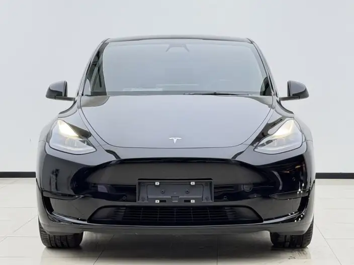 Model Y 2022 Model Facelift Rear-wheel drive version – фото 2
