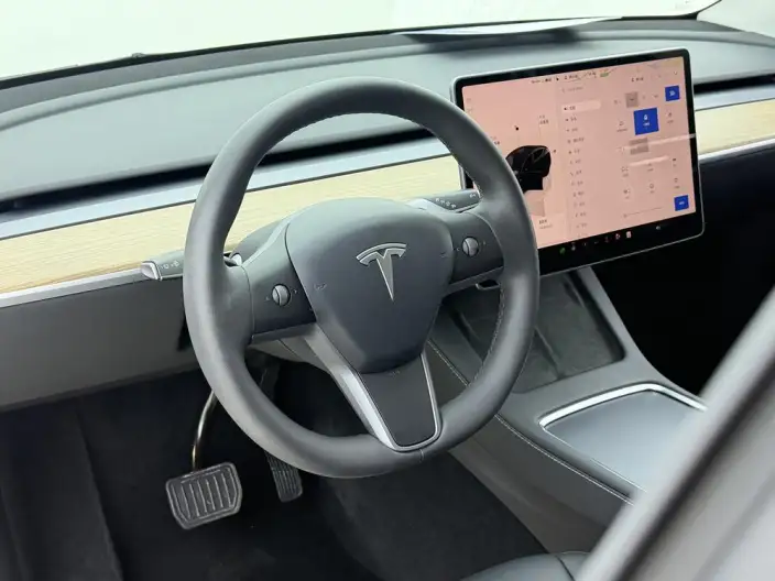 Model Y 2022 Model Facelift Rear-wheel drive version – фото 9