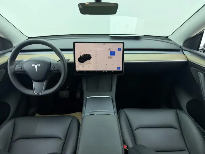 Model Y 2022 Model Facelift Rear-wheel drive version – фото 10