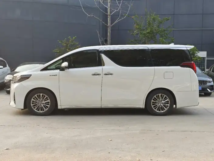 Elfa 2021 Model Hybrid 2.5L Premium Edition