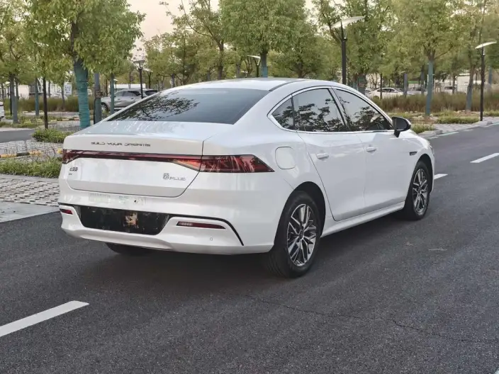 Qin Plus EV 2024 Model Honor Edition 510KM Leading Model – фото 6
