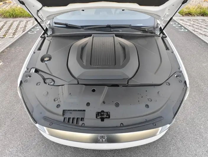 Qin Plus EV 2024 Model Honor Edition 510KM Leading Model – фото 8
