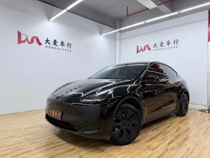Model Y 2023 Model Rear-wheel drive version – фото 1
