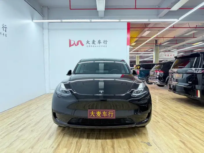 Model Y 2023 Model Rear-wheel drive version – фото 2