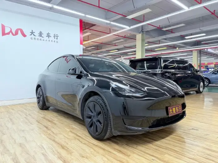 Model Y 2023 Model Rear-wheel drive version – фото 3