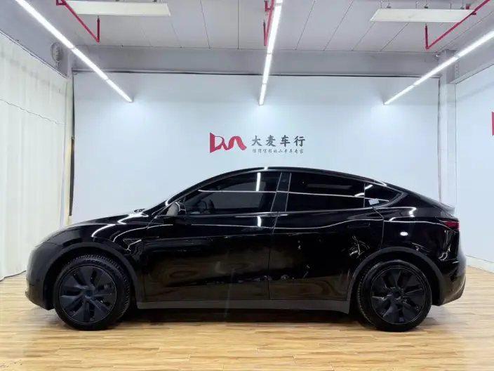 Model Y 2023 Model Rear-wheel drive version – фото 4