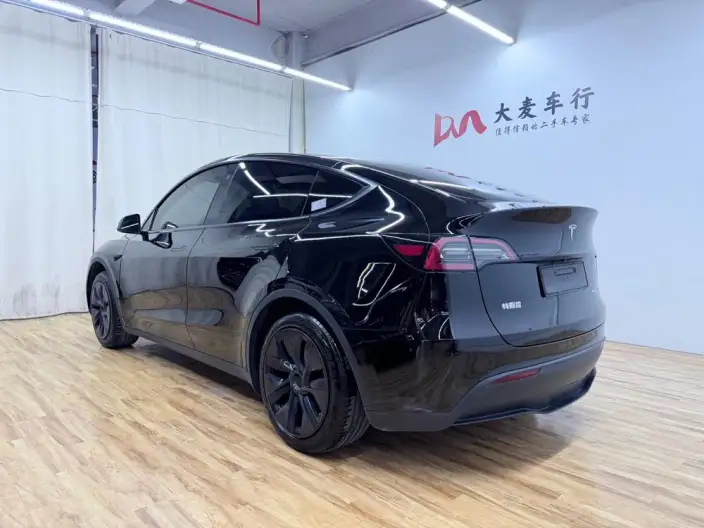 Model Y 2023 Model Rear-wheel drive version – фото 5