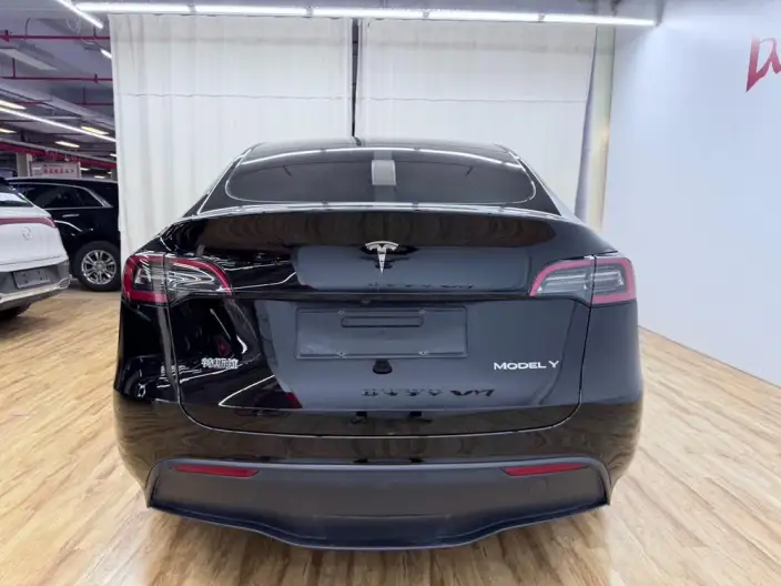 Model Y 2023 Model Rear-wheel drive version – фото 6
