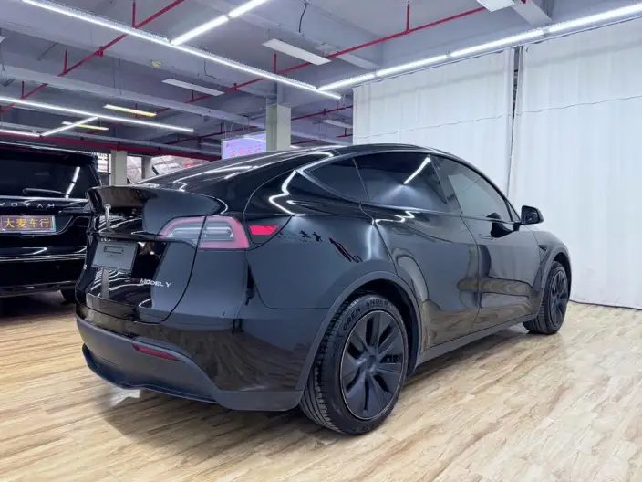 Model Y 2023 Model Rear-wheel drive version – фото 7