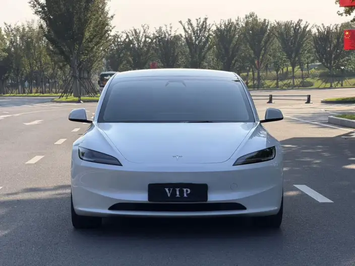 Model 3 2023 Model Long Battery Life Pro All-wheel drive version – фото 2