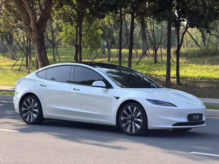 Model 3 2023 Model Long Battery Life Pro All-wheel drive version – фото 3