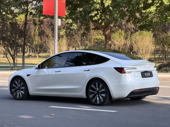 Model 3 2023 Model Long Battery Life Pro All-wheel drive version – фото 5