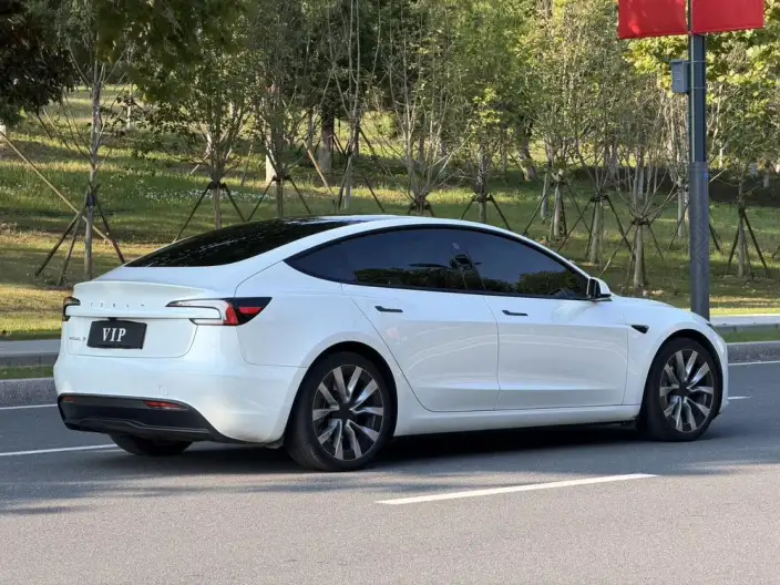 Model 3 2023 Model Long Battery Life Pro All-wheel drive version – фото 7