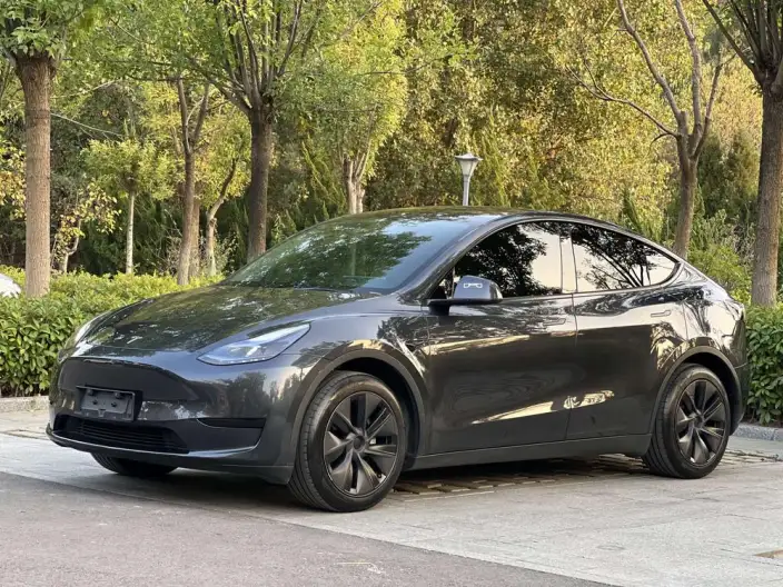 Model Y 2024 Model Rear-wheel drive version – фото 1
