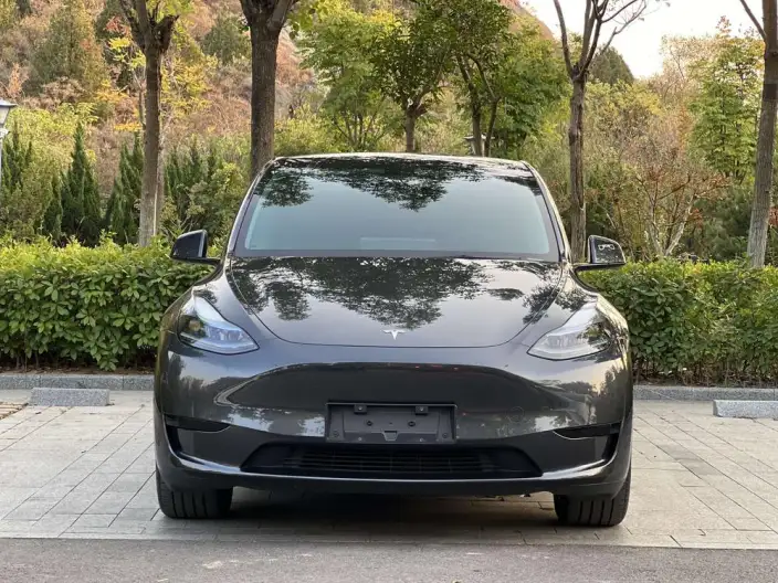 Model Y 2024 Model Rear-wheel drive version – фото 2