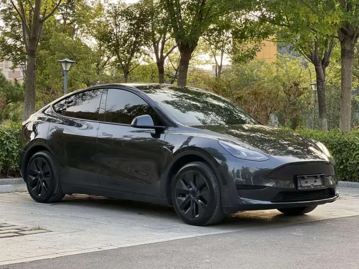 Model Y 2024 Model Rear-wheel drive version – фото 3