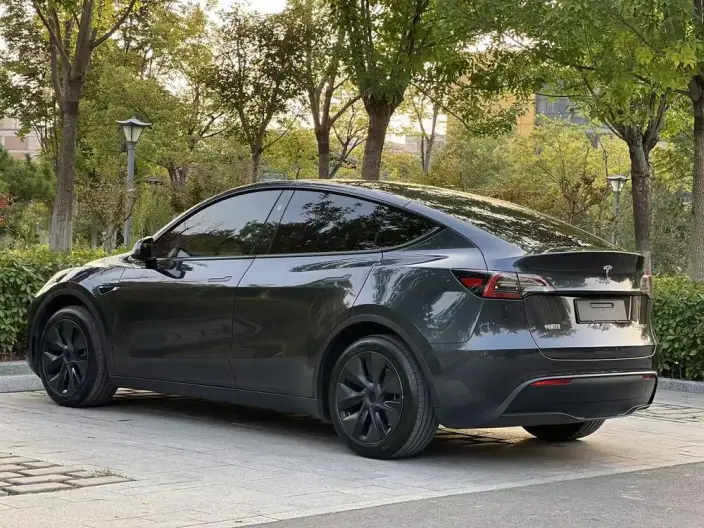 Model Y 2024 Model Rear-wheel drive version – фото 4