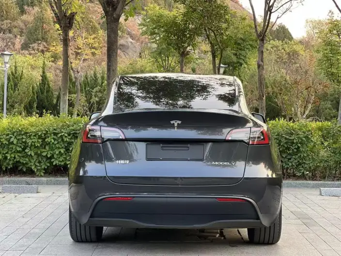 Model Y 2024 Model Rear-wheel drive version – фото 5
