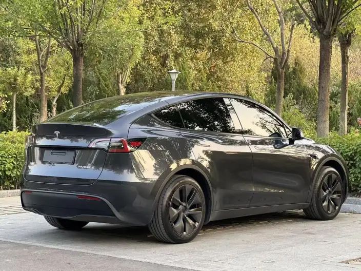 Model Y 2024 Model Rear-wheel drive version – фото 6
