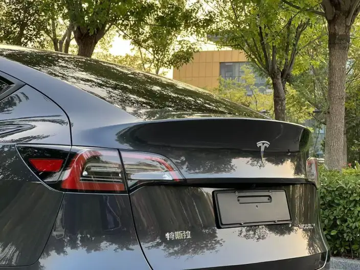 Model Y 2024 Model Rear-wheel drive version – фото 7