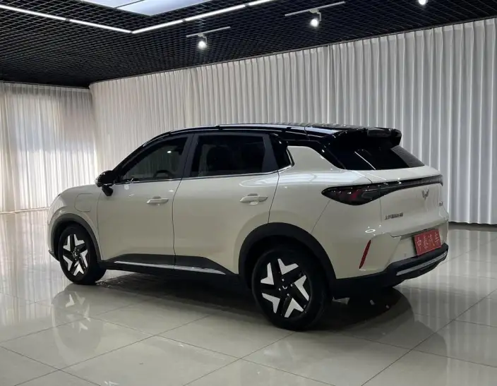 Wuling BingoS 2025 Model 430km Flagship Model – фото 4