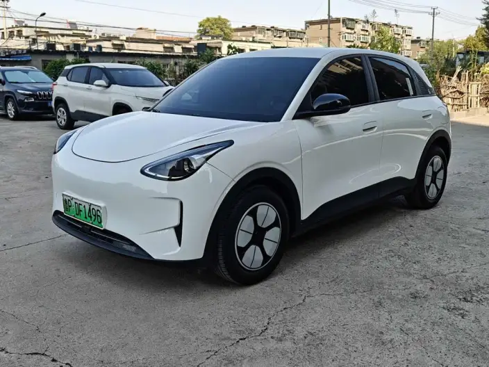 Geely Galaxy StarWish 2025 Model 310km Youth Edition