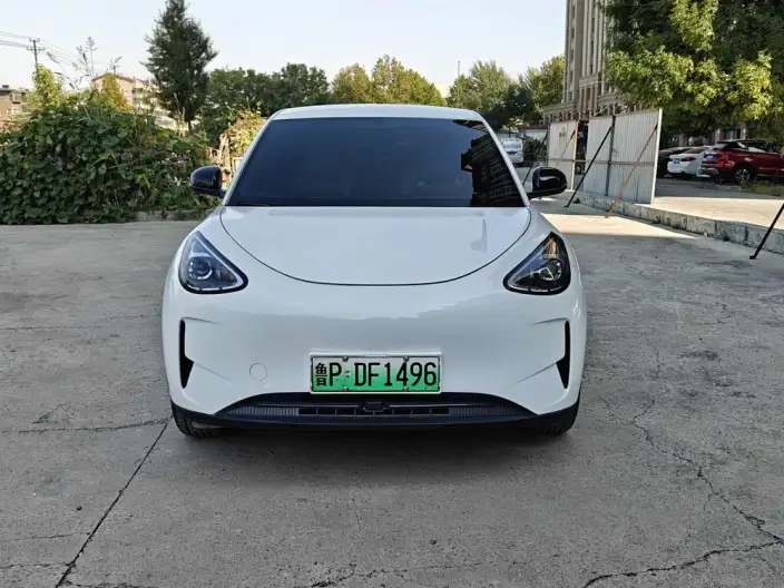 Geely Galaxy StarWish 2025 Model 310km Youth Edition