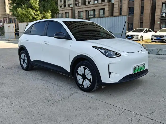 Geely Galaxy StarWish 2025 Model 310km Youth Edition