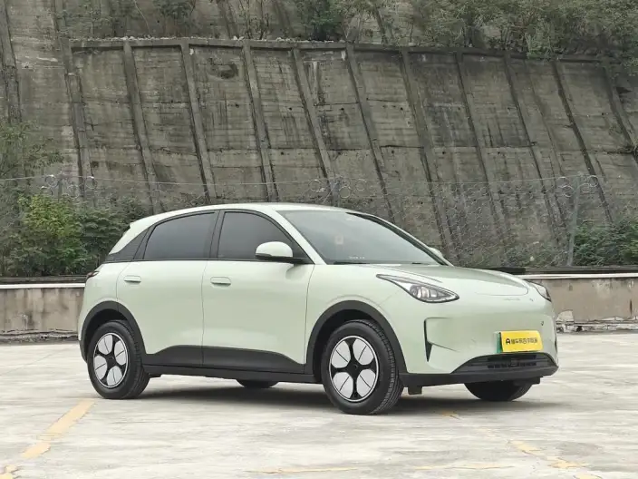 Geely Galaxy StarWish 2025 Model 310km Youth Edition