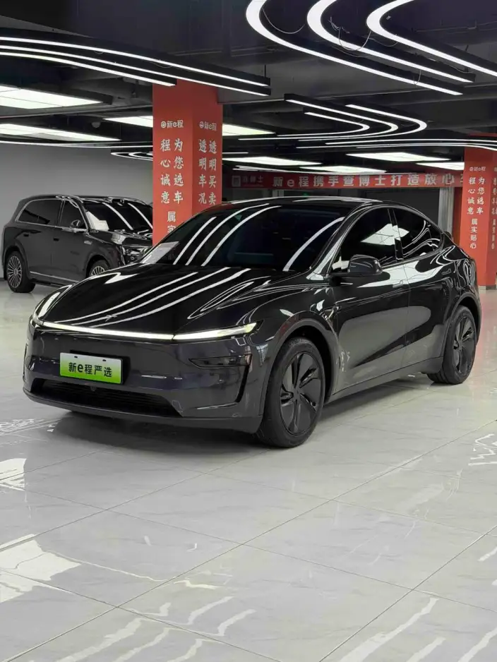 Model Y 2025 Model Rear-wheel drive version – фото 1