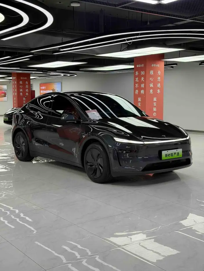 Model Y 2025 Model Rear-wheel drive version – фото 3