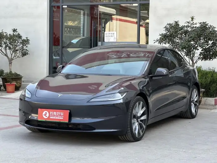 Model 3 2023 Model Long Battery Life Pro All-wheel drive version – фото 1