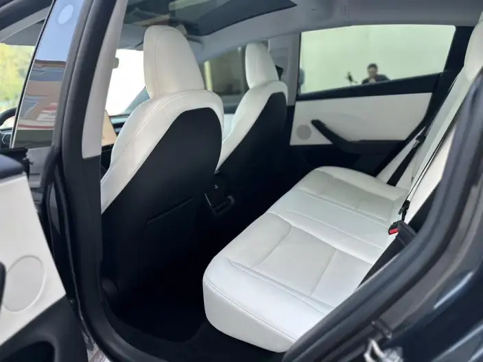 Model 3 2023 Model Long Battery Life Pro All-wheel drive version – фото 10