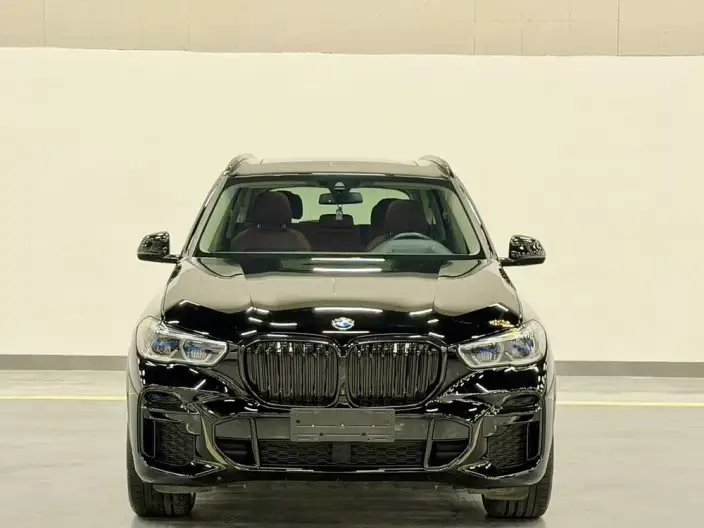 BMW X5 2022 Model xDrive 30Li Exclusive Model M Sports Set – фото 2