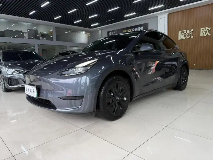 Model Y 2022 Model Facelift Rear-wheel drive version – фото 1