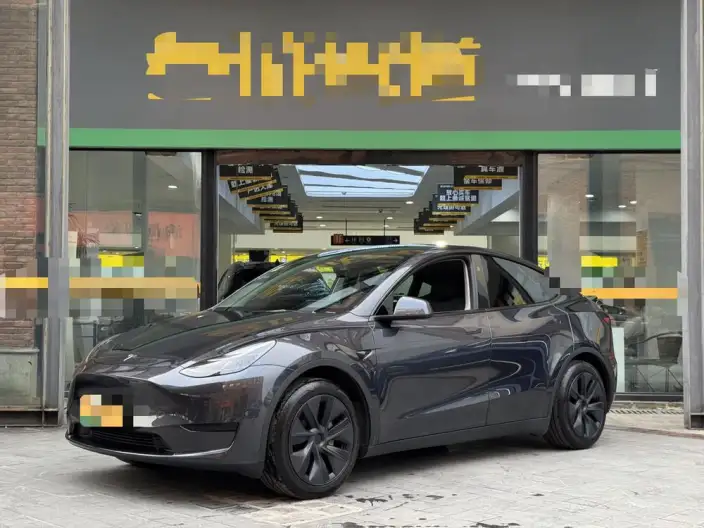 Model Y 2024 Model Rear-wheel drive version – фото 1