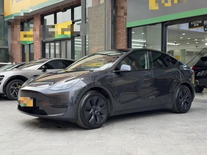 Model Y 2024 Model Rear-wheel drive version – фото 10