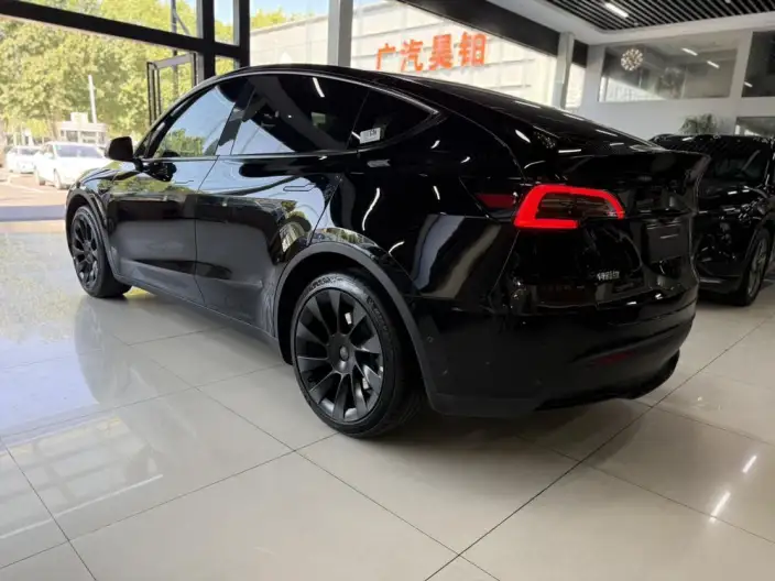 Model Y 2023 Model Rear-wheel drive version – фото 5