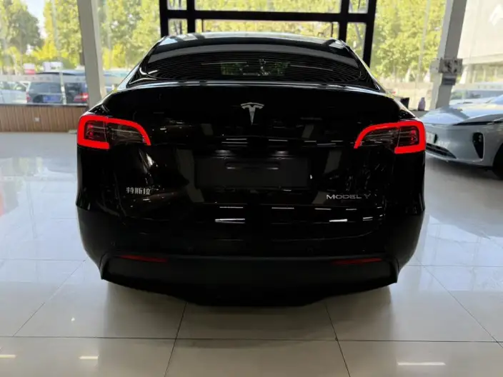 Model Y 2023 Model Rear-wheel drive version – фото 6