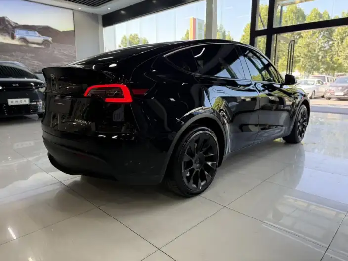 Model Y 2023 Model Rear-wheel drive version – фото 7